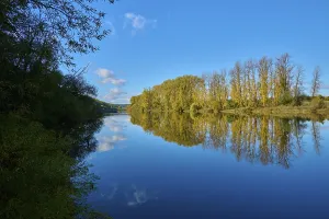 Bavaria Waterfront Scene Imprime: River, Main, Trees, Reflection