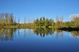 Autumn In Bavaria Imprime: River, Main, Trees, Reflection