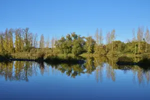 Bavaria Waterfront Scene Imprime: River, Main, Trees, Reflection