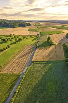 Evening Farmland Landscape Imprime: Road surrounded by fields at sunset