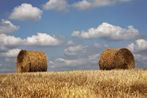 Grainfield Scenery Imprime: Role play