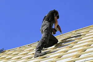 Manual Laborer At Work Imprime: Roofer or carpenter at work