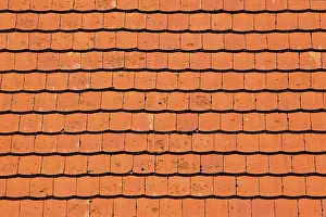 Roof Tile Patterns Imprime: Rooftiles