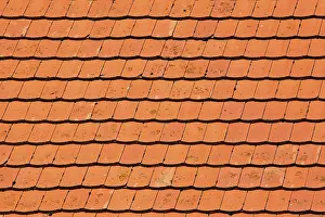 Roof Tile Patterns Imprime: Rooftiles