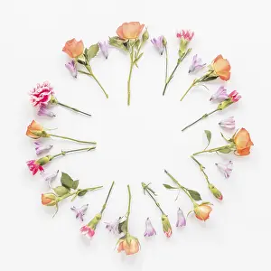 Diverse Flower Arrangements Imprime: Round frame from different flowers table