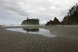 Sandy Ocean Beaches USA Imprime: Ruby Beach, Forks, Olympic Peninsula