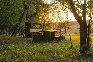 German Countryside Landscape Photography Imprime: Rustic bench and table in the forest at sunset