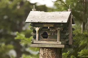 Italian Stone Pine Landscape Imprime: Rustic birdhouse amongst pine trees