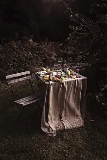 Outdoor Picnic Setup Imprime: A rustic outdoor table set with an array of snacks