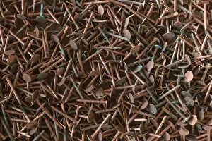 Rusty Metal Imprime: Rusty copper nails