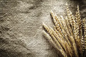 Close Up Rye Imprime: Rye ears on sacking background