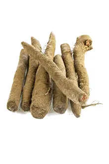 Empty Studio Backgrounds Imprime: Salsify