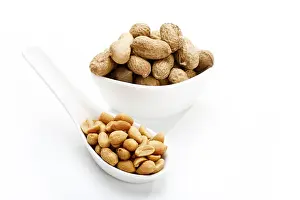 Botany Plant Life Imprime: Salted peanuts and peanuts in shell