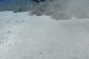 Impresiones de Arena y partículas flotan en el agua, creando un ambiente brumoso, enterrado en la arena hay una rayuela de mariposa (Gymnura altavela), sitio de buceo Faro Reef, Arguineguin, Gran Canaria, España Rayo Mariposa Imprime: Arena y partículas flotan en el agua.