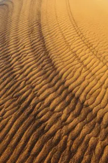 Sand Dune Patterns Imprime: Sand patterns on the surface of a dune