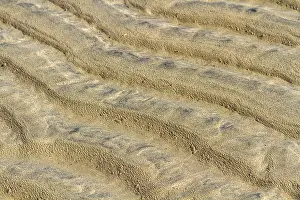 Deserted Spanish Landscapes Imprime: Sand structures, Background, Texture