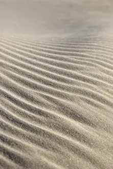 North Sea Coast Imprime: Sand structures, created by waves and wind