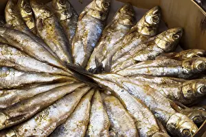 Sardina Imprime: Sardines