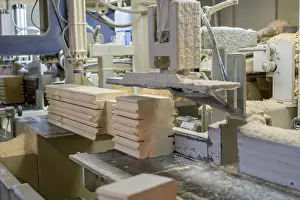 Deserted Sawmill Scene Imprime: At sawmill. Image of profiled bar during processing