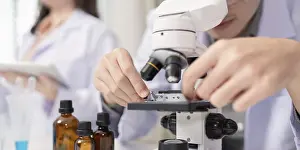 Scientist At Work Imprime: A scientist performs a microbial analysis using a microscope in a laboratory setting