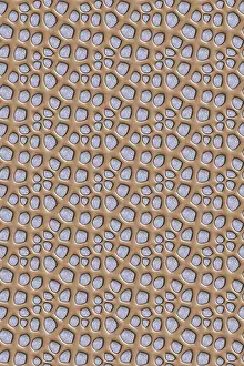 Full Frame Wallpaper Image Imprime: Seamless tileable decorative background pattern