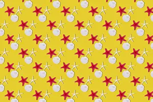 Deserted Beach Wallpaper Imprime: Seashells on yellow background, seamless pattern