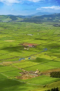 Azores Portugal Landscape Imprime: Serra do Cume Viewpoint overlooking the patchwork