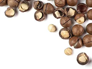 Top View Photography Imprime: Set of macadamia nuts on white background