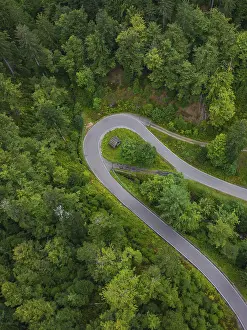 Black Forest Road Imprime: Sharp bend in a road surrounded by dense forest