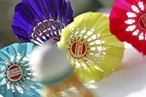 Colorful Bird Feathers Imprime: Shuttlecocks made in China
