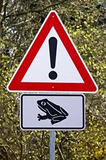 Toad Migration Imprime: Sign, toad migration in spring