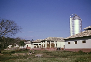 Historic Farm Buildings Imprime: Silos barns stables calves grazing