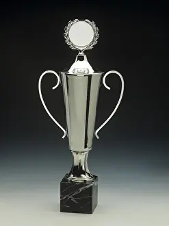 Ornate Decoration Imprime: Silver trophy