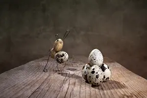 Simple Easter Decorations Imprime: Simple Things as the Easter Bunnies preparing for Easter
