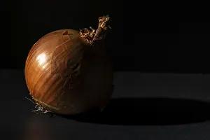 Dark Background Imprime: Single onion placed in dramatic light and shadow on dark background