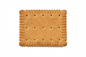 Studio Shot Dessert Imprime: Single rectangular biscuit isolated on white background