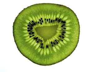 Wild Animal Food Source Imprime: Slice of kiwi