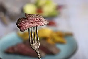Empty Plate Steak Imprime: Slice of steak on a fork