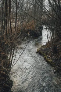 Serene Water Body Imprime: A small stream flows between bare trees