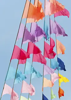 Deserted Landscape Photos Imprime: Many small triangular colorful flags