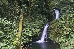 Tropical Waterfall Scene Imprime: Small waterfall in the cloud forest
