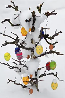 Easter Egg Celebration Imprime: Snow covered Easter tree with eggs