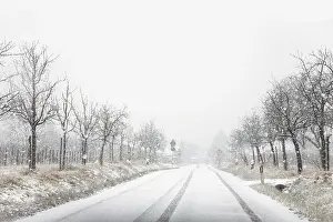 Frozen Over Roads Imprime: Snowfall