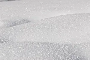 Frozen Winter Scene Imprime: Snowy surface