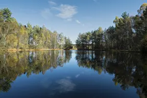 Water Reflections In Europe Imprime: The source of the Neckar River