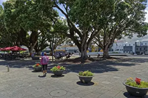 Azores Travel Photography Imprime: A spacious square with large trees