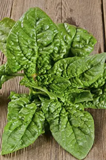 Healthy Greens Imprime: Spinach