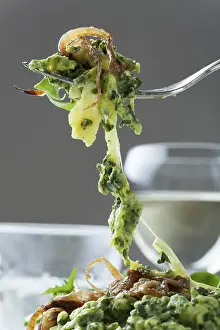 Food Photography Fork Imprime: Spinach spaetzle on a fork