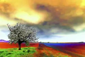 Spring Landscape Photography Imprime: Spring landscape