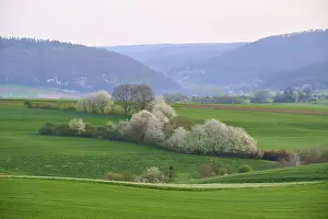Central European Springtime Imprime: Spring landscape with green fields